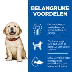 Hill's Science Plan - Large Puppy -Beste Dierenartikelen Winkel hills science plan puppy large chicken 218508 0500 none
