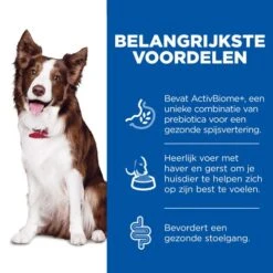 Hill's Science Plan Adult Perfect Digestion Hondenvoer -Beste Dierenartikelen Winkel hills science plan adult perfect digestion hondenvoer 218308 0500 none