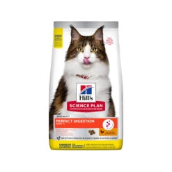 Hill's Science Plan Adult Perfect Digestion Kattenvoer -Beste Dierenartikelen Winkel hills science plan adult perfect digestion kattenvoer 181102 2000 none