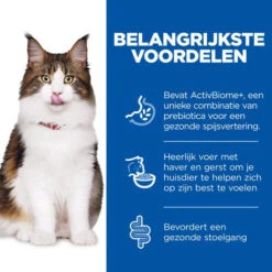 Hill's Science Plan Adult Perfect Digestion Kattenvoer -Beste Dierenartikelen Winkel hills science plan adult perfect digestion kattenvoer 181150 0500 none