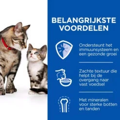 Hill's Science Plan Kitten & Mother Tender Mousse 9 Hill's Science Plan Kitten & Mother Tender Mousse -Beste Dierenartikelen Winkel hills science plan kitten mother tender mousse 224035 0500 none