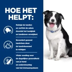 Hill's T/d Dental Care - Prescription Diet - Canine -Beste Dierenartikelen Winkel hills td dental care prescription diet canine 218116 2000 none