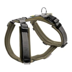 Hunter Harness Maldon -Beste Dierenartikelen Winkel hunter harness maldon 223766 1500 none