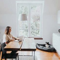 Hunter Hoekmand Livingstone - Grijs -Beste Dierenartikelen Winkel hunter hoekmand livingstone grijs 175903 1500 none