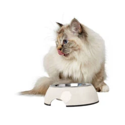 Hunter Melamine Voer- En Drinkbak - Wit -Beste Dierenartikelen Winkel hunter melamine voer en drinkbak wit 169570 0500 none