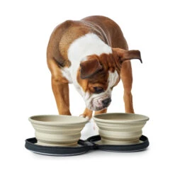 Hunter Siliconen Reiskommen In Tasje -Beste Dierenartikelen Winkel hunter siliconen reiskommen in tasje 175747 2000 none