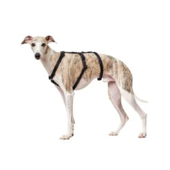 Hunter Vario Rapid Veiligheidsharnas -Beste Dierenartikelen Winkel hunter vario rapid veiligheidsharnas zwart 169501 0500 none