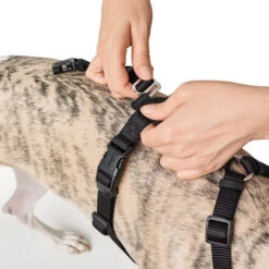 Hunter Vario Rapid Veiligheidsharnas -Beste Dierenartikelen Winkel hunter vario rapid veiligheidsharnas zwart 169504 0500 none