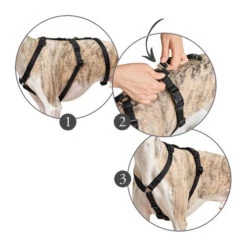 Hunter Vario Rapid Veiligheidsharnas -Beste Dierenartikelen Winkel hunter vario rapid veiligheidsharnas zwart 169510 0500 none