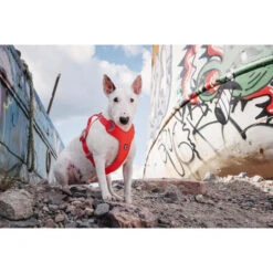 Hurtta Weekend Warrior Eco Harness -Beste Dierenartikelen Winkel hurtta weekend warrior eco harness 189132 0500 none