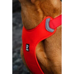 Hurtta Weekend Warrior Eco Harness -Beste Dierenartikelen Winkel hurtta weekend warrior eco harness 189136 1000 none