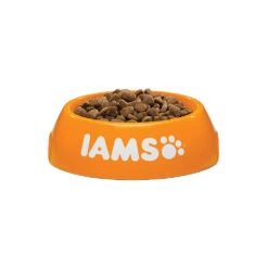 IAMS For Vitality Adult Cat Salmon & Chicken -Beste Dierenartikelen Winkel iams adult cat salmon chicken 133736 1000 none