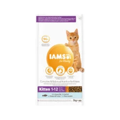 IAMS For Vitality Kitten Ocean Fish -Beste Dierenartikelen Winkel iams for vitality kitten ocean fish 217685 1500 none