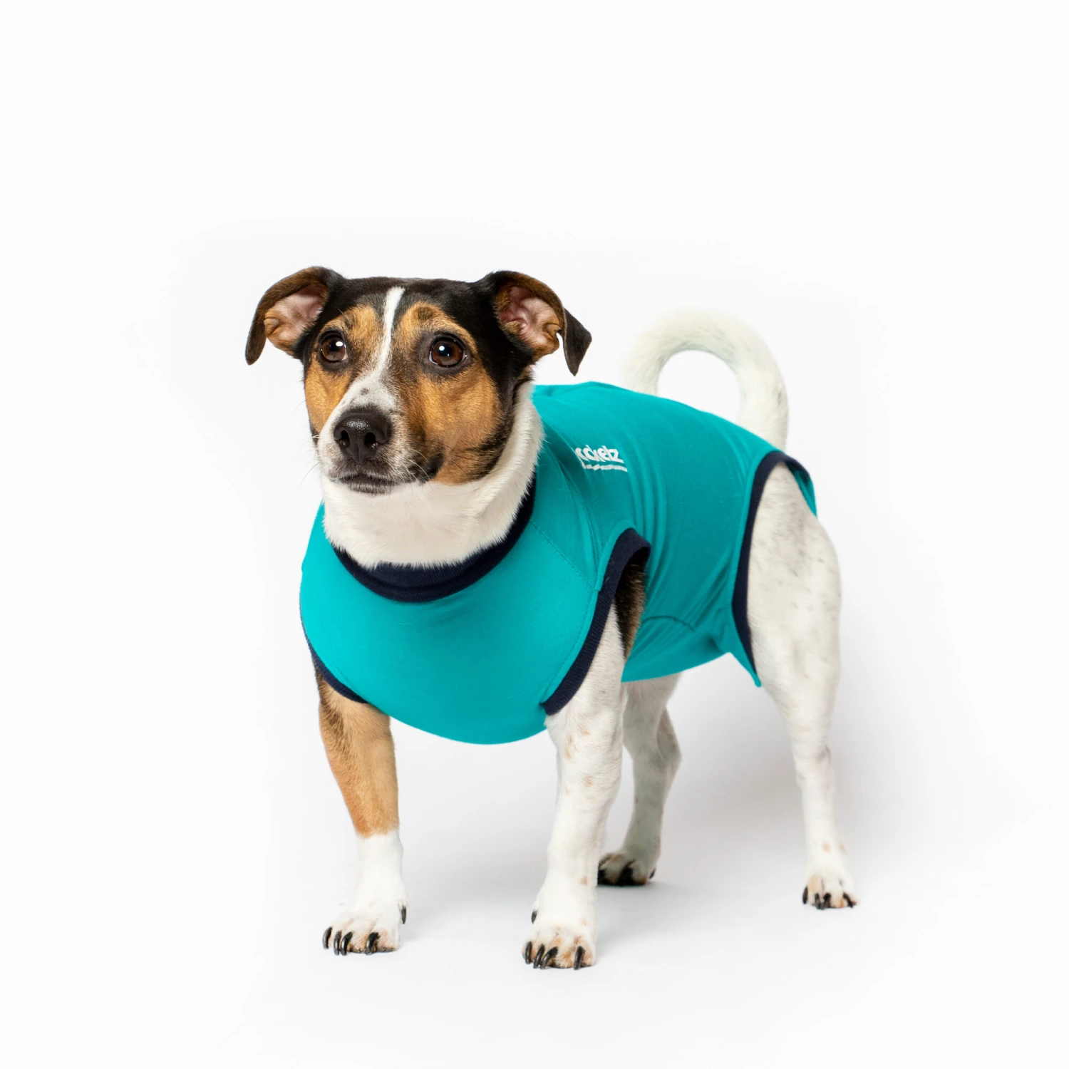 Jacketz Medical Body Suit Hond 9 Jacketz Medical Body Suit Hond - Afbeelding 9
