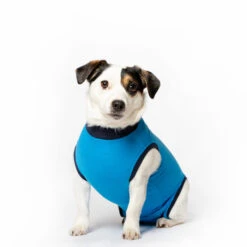 Jacketz Medical Body Suit Hond 25 Jacketz Medical Body Suit Hond -Beste Dierenartikelen Winkel jacketz medical body suit hond m blue 136184 2000 none