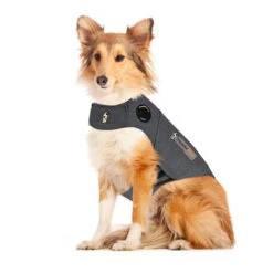 Thundershirt Hond -Beste Dierenartikelen Winkel jpbM91evrKZv3JzhxJfJF0FruqLREb metaVGh1bmRlcnNoaXJ0LmpwZw