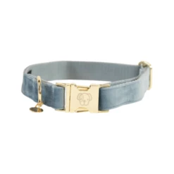 Kentucky Dogwear Velvet Hondenhalsband -Beste Dierenartikelen Winkel kentucky dogwear velvet licht blauw s 28 40 cm 134930 0500 none