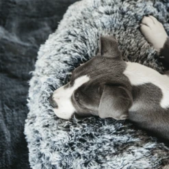 Kentucky Dogwear Comfort Donut Hondenmand 21 Kentucky Dogwear Comfort Donut Hondenmand -Beste Dierenartikelen Winkel kentucky dogwear comfort donut hondenmand 219723 0500 none