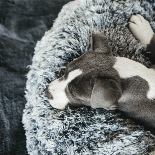 Kentucky Dogwear Comfort Donut Hondenmand 10 Kentucky Dogwear Comfort Donut Hondenmand - Afbeelding 10