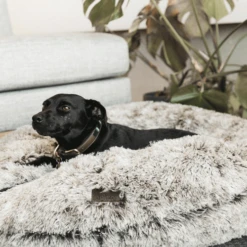 Kentucky Dogwear Comfort Donut Hondenmand 22 Kentucky Dogwear Comfort Donut Hondenmand -Beste Dierenartikelen Winkel kentucky dogwear comfort donut hondenmand 219727 0500 none