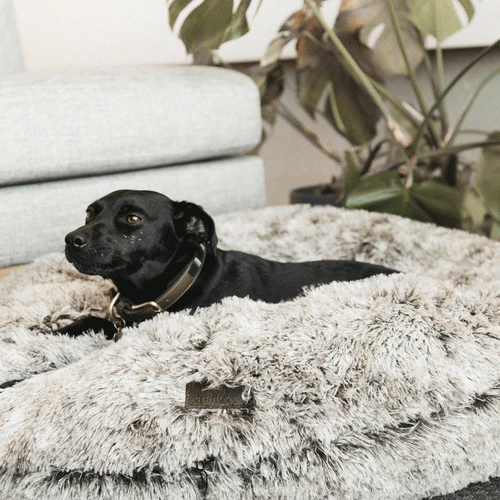 Kentucky Dogwear Comfort Donut Hondenmand 11 Kentucky Dogwear Comfort Donut Hondenmand - Afbeelding 11