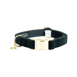 Kentucky Dogwear Corduroy Hondenhalsband 30 Kentucky Dogwear Corduroy Hondenhalsband -Beste Dierenartikelen Winkel kentucky dogwear corduroy hondenhalsband 219194 0500 none