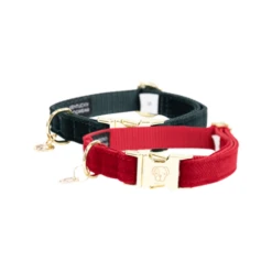 Kentucky Dogwear Corduroy Hondenhalsband 28 Kentucky Dogwear Corduroy Hondenhalsband -Beste Dierenartikelen Winkel kentucky dogwear corduroy hondenhalsband 219197 0500 none