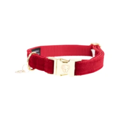 Kentucky Dogwear Corduroy Hondenhalsband 29 Kentucky Dogwear Corduroy Hondenhalsband -Beste Dierenartikelen Winkel kentucky dogwear corduroy hondenhalsband 219198 0500 none