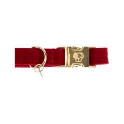 Kentucky Dogwear Corduroy Hondenhalsband 32 Kentucky Dogwear Corduroy Hondenhalsband -Beste Dierenartikelen Winkel kentucky dogwear corduroy hondenhalsband 219199 0500 none
