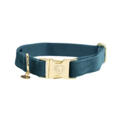 Kentucky Dogwear Velvet Hondenhalsband -Beste Dierenartikelen Winkel kentucky dogwear velvet hondenhalsband 219231 0500 none