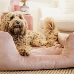 Kentucky Dogwear Velvet Hondenmand -Beste Dierenartikelen Winkel kentucky dogwear velvet hondenmand 219658 0500 none