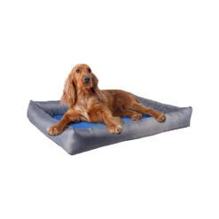 Flamingo Koelmand Fresk Rechthoek 21 Flamingo Koelmand Fresk Rechthoek -Beste Dierenartikelen Winkel koelmand fresk rechthoek 222645 1000 none