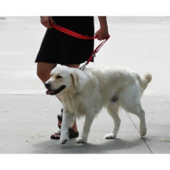 KONG Adjustable Leash -Beste Dierenartikelen Winkel kong adjustable leash zwart 176941 1000 none