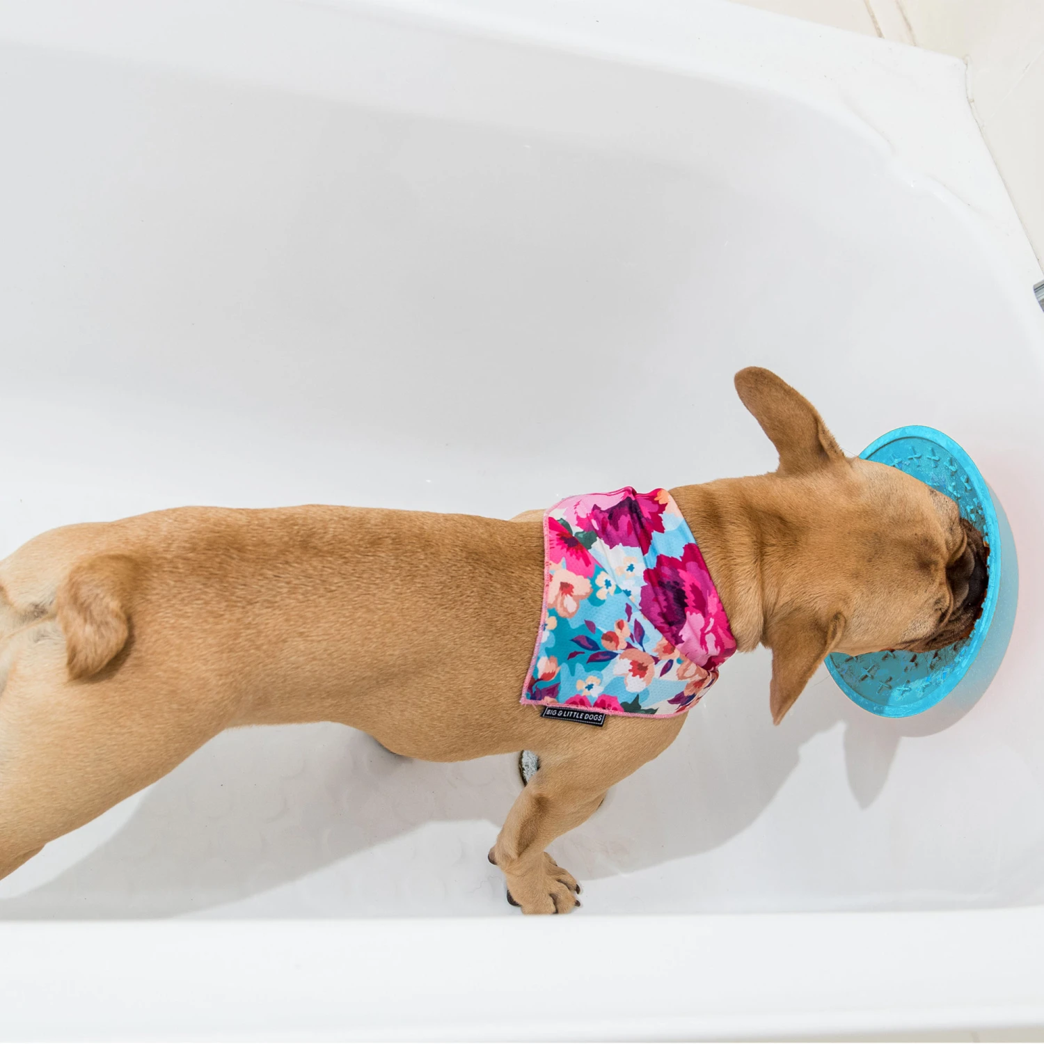 LickiMat Splash 3 LickiMat Splash - Afbeelding 3