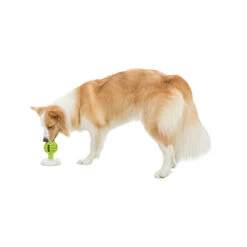 Trixie Lick'n'Snack Bal -Beste Dierenartikelen Winkel licknsnack bal 184660 0500 none