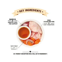 Lily's Kitchen Smooth Paté Kittenvoer - Kuipje -Beste Dierenartikelen Winkel lilys kitchen smooth pat kitten kattenvoer kuipje 194747 0500 none