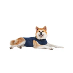 Medical Pet Shirt Hond -Beste Dierenartikelen Winkel medical pet shirt hond 167410 1000 none