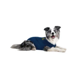 Medical Pet Shirt Hond -Beste Dierenartikelen Winkel medical pet shirt hond 167416 1000 none