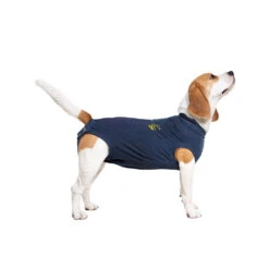 Medical Pet Shirt Hond -Beste Dierenartikelen Winkel medical pet shirt hond 167419 1000 none