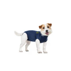 Medical Pet Shirt Hond -Beste Dierenartikelen Winkel medical pet shirt hond 167422 1000 none