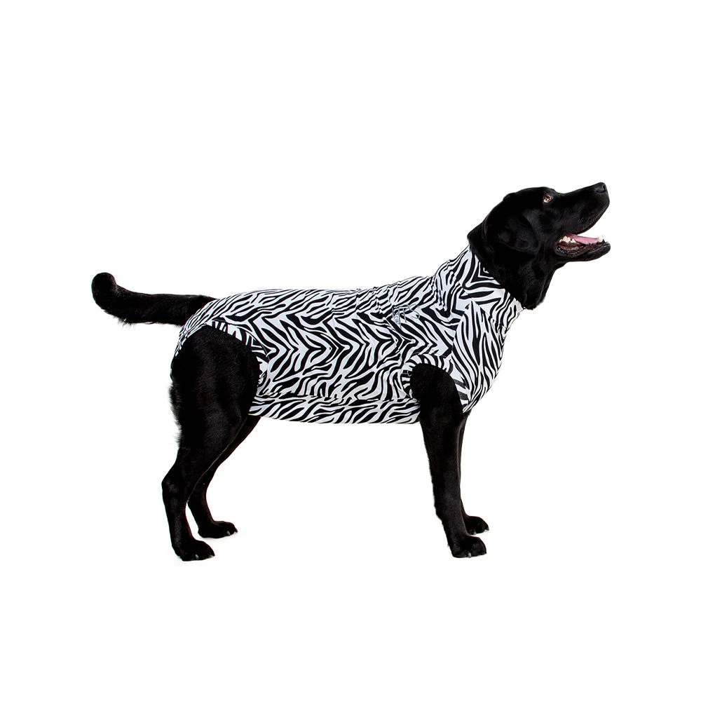 Medical Pet Shirt Hond Zebra Print 11 Medical Pet Shirt Hond Zebra Print - Afbeelding 11