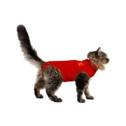 Medical Pet Shirt Kat 15 Medical Pet Shirt Kat -Beste Dierenartikelen Winkel medical pet shirt kat 167401 1000 none