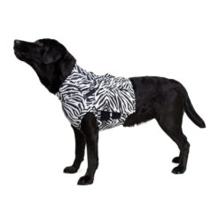 Medical Pet Top Shirt - Zebraprint 17 Medical Pet Top Shirt - Zebraprint -Beste Dierenartikelen Winkel medical pet top shirt zebraprint 150698 1000 none
