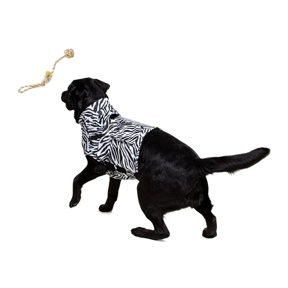 Medical Pet Top Shirt - Zebraprint 8 Medical Pet Top Shirt - Zebraprint - Afbeelding 8