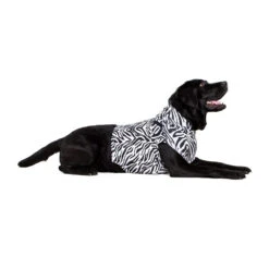 Medical Pet Top Shirt - Zebraprint 19 Medical Pet Top Shirt - Zebraprint -Beste Dierenartikelen Winkel medical pet top shirt zebraprint 150704 1000 none