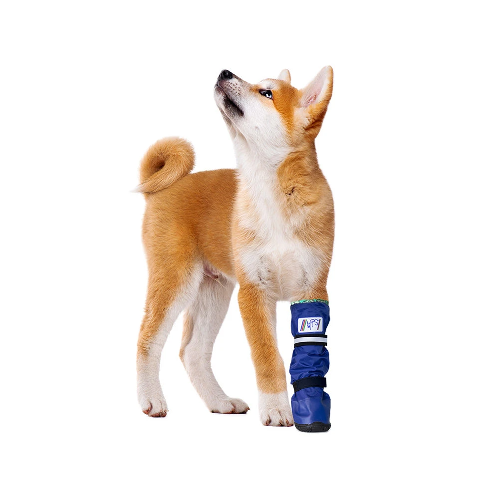 Medical Pet Shirt Boot 8 Medical Pet Shirt Boot - Afbeelding 8