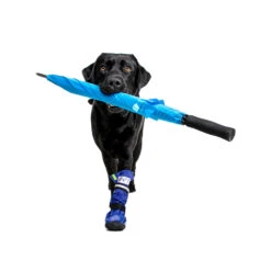 Medical Pet Shirt Boot 26 Medical Pet Shirt Boot -Beste Dierenartikelen Winkel medical pets boot 167482 1000 none