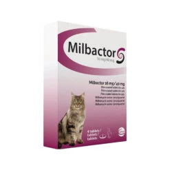 Milbactor Kat -Beste Dierenartikelen Winkel milbactor kat 176953 1000 none