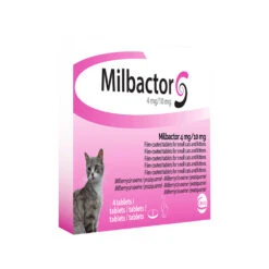 Milbactor Kat -Beste Dierenartikelen Winkel milbactor kat 176956 1000 none