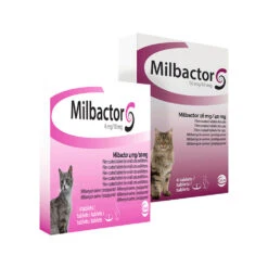 Milbactor Kat -Beste Dierenartikelen Winkel milbactor kat 176962 1000 none